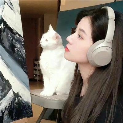 熊出没之探险日记