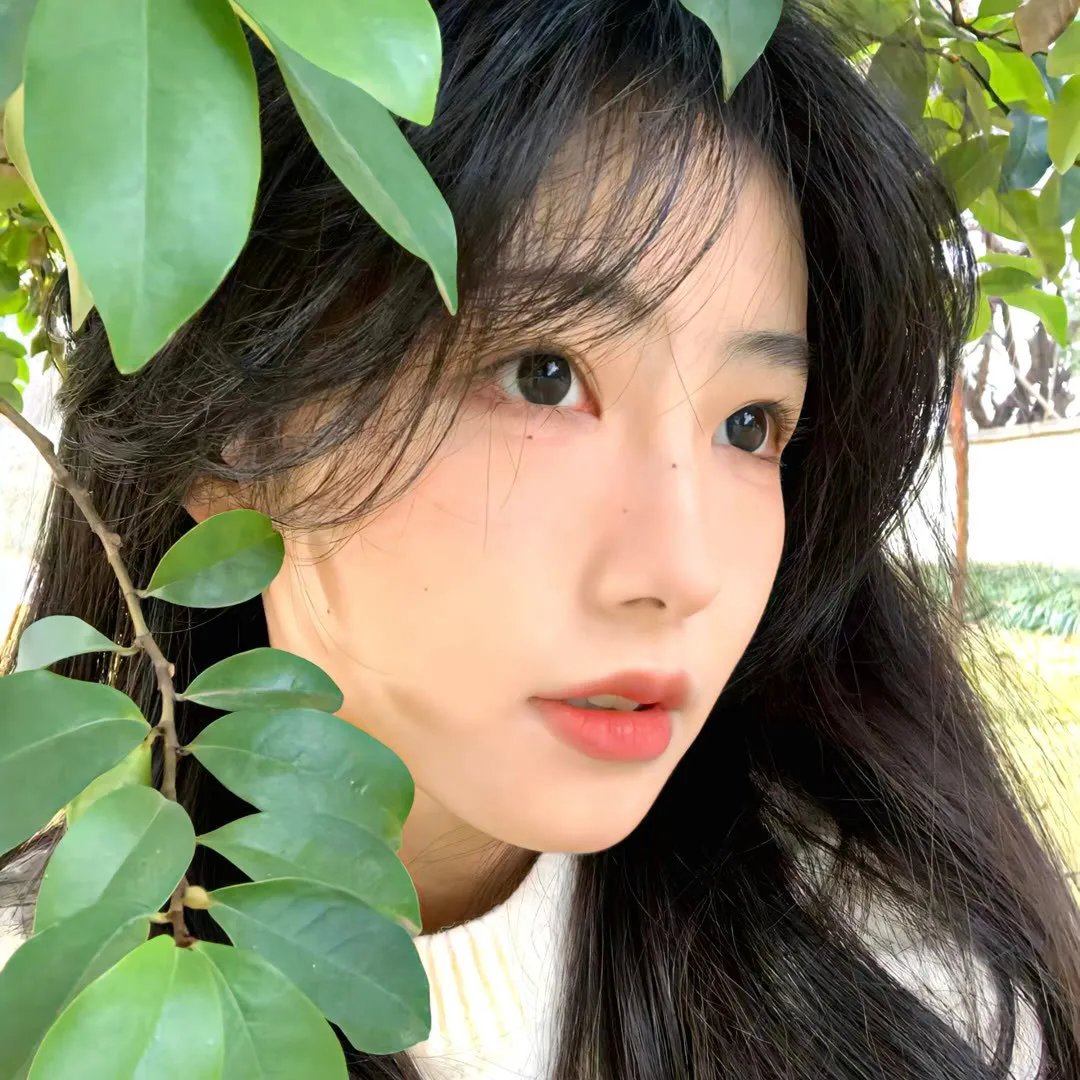 如果历史是一群喵第4-5季